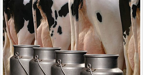 Productores debatieron sobre transparencia y productividad para ... - AgriTotal