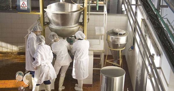 Debuta un nuevo sistema de liquidación en la lechería - AgriTotal