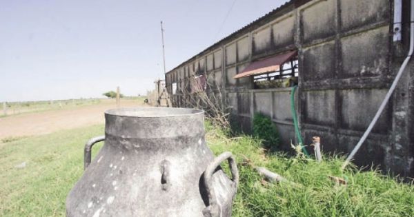 Lechería: CRA hizo un llamado a la racionalidad - AgriTotal