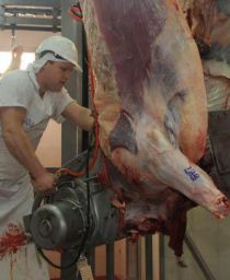 La carne paraguaya fue la que sufrió la mayor depreciación