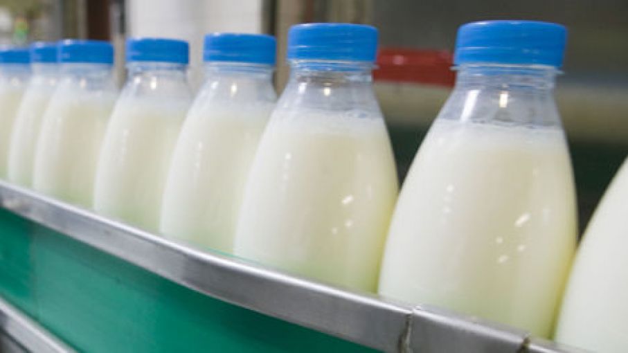 Cadena de la leche : actualización de valores a diciembre de 2017