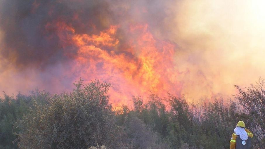 Estiman en 300.000 las hectáreas quemadas en Mendoza y La Pampa