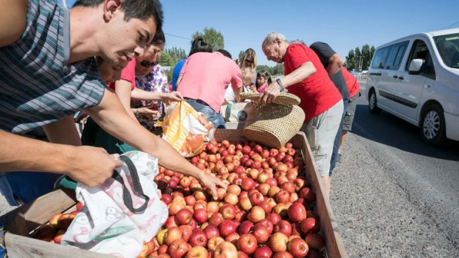 Por la crisis, regalaron más de 30.000 kilos de manzanas