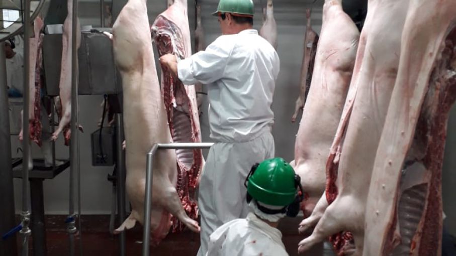 Comenzó la exportación de carne de cerdo desde el norte de Santa Fe