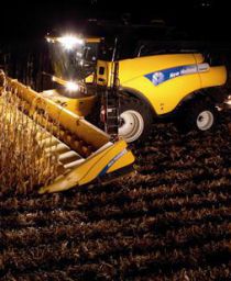 El maicero es el responsable