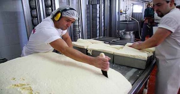 En lechería, la industria recibe la porción menor - AgriTotal