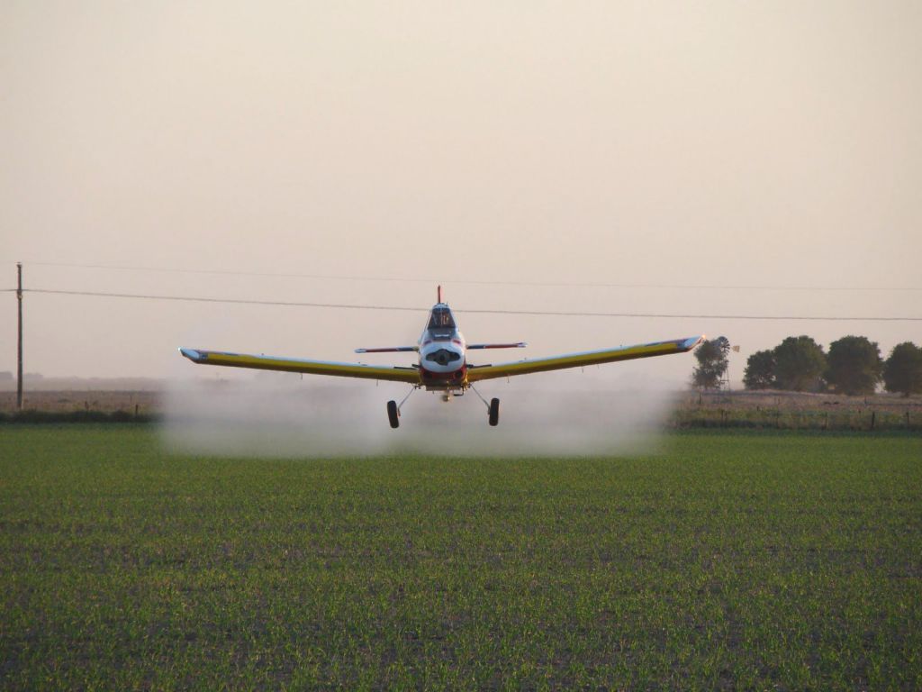 Pino Solanas ovacionado en Berlín por su documental 