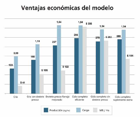 Grafico 1