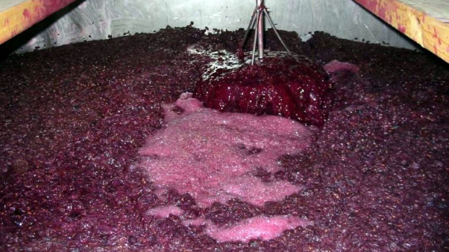 Las exportaciones de vino argentino crecieron casi 22% y el mosto consolida su recuperaci&oacute;n