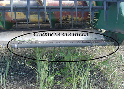 Cuchilla para colza