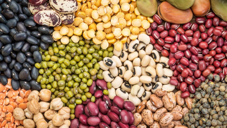 Crece la demanda de proteínas alternativas a la carne - Agritotal