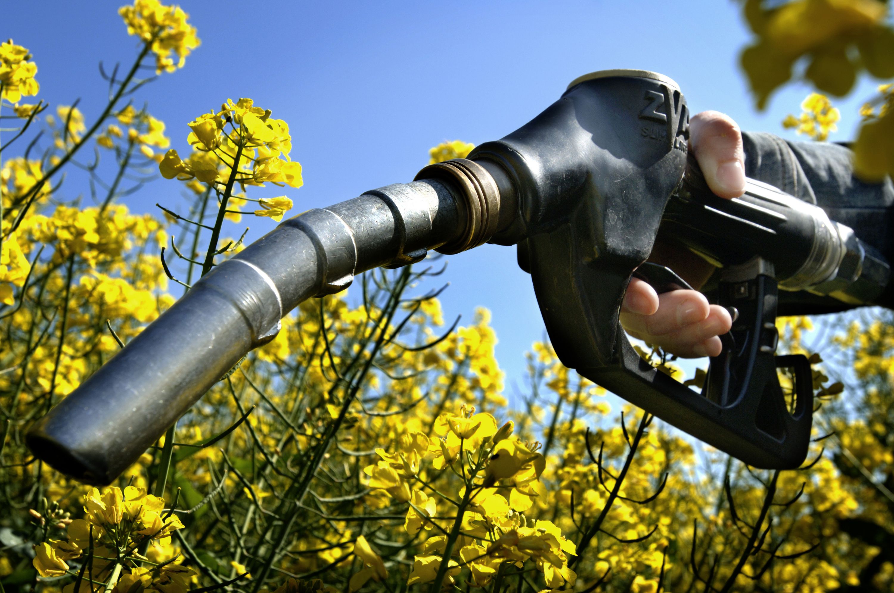 Impulsan uso del biodiesel en Santa Fe - Agritotal