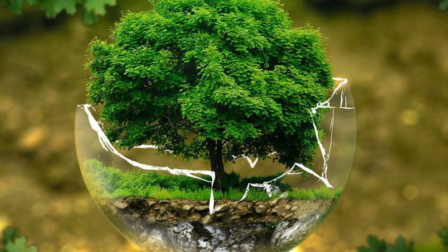 59d4de974137f_907_510!