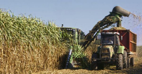 Se Pone En Marcha La Zafra En Tucuman Agritotal