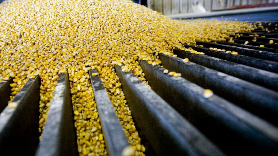 La Brasileña JBS compra maíz argentino por alto precio de cosecha local -  Agritotal