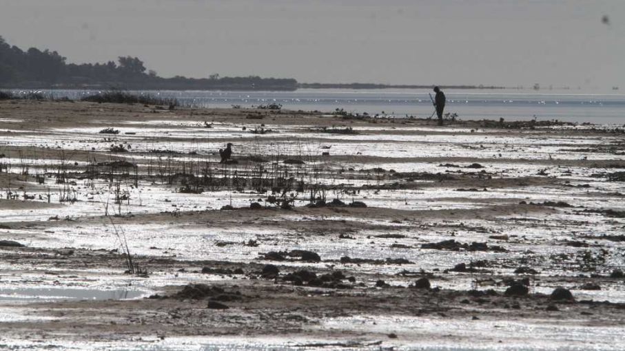 El déficit de lluvias causó una bajante récord en el río Paraná - Agritotal