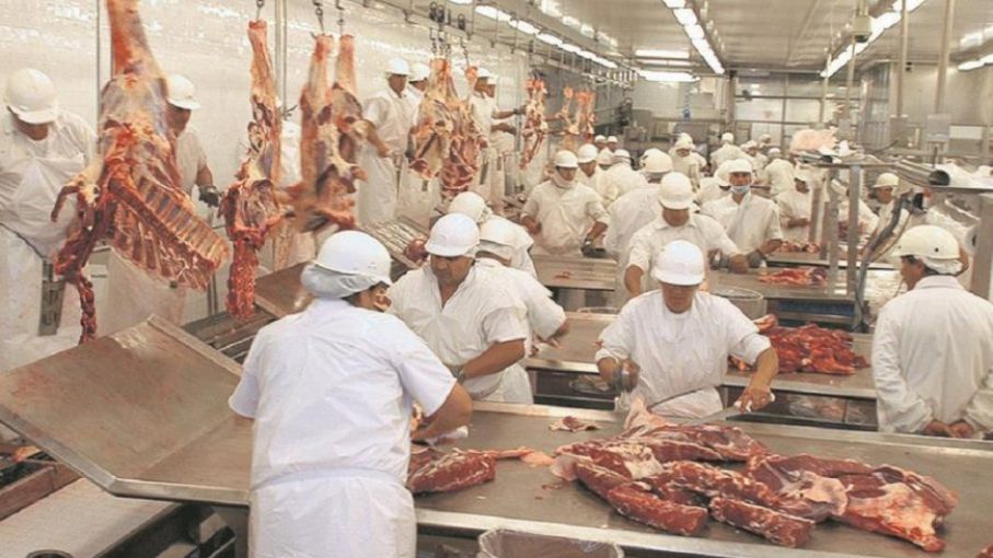 Actualización del Reglamento de Inspección de establecimientos de carne  bovina - Agritotal