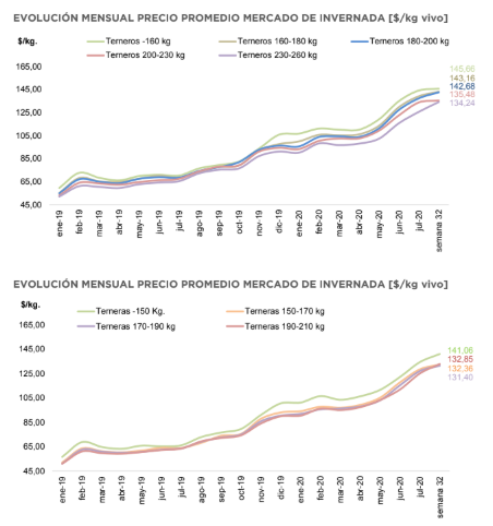 Invernada y cr&iacute;a: sin aflojar
