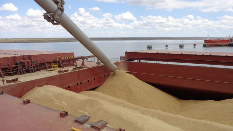 Argentina puede elevar las exportaciones agrícolas si cambia la política comercial - Agritotal