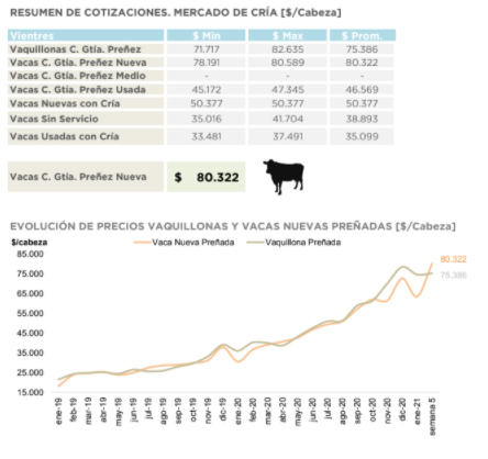 Invernada y cría: rompiendo los $200