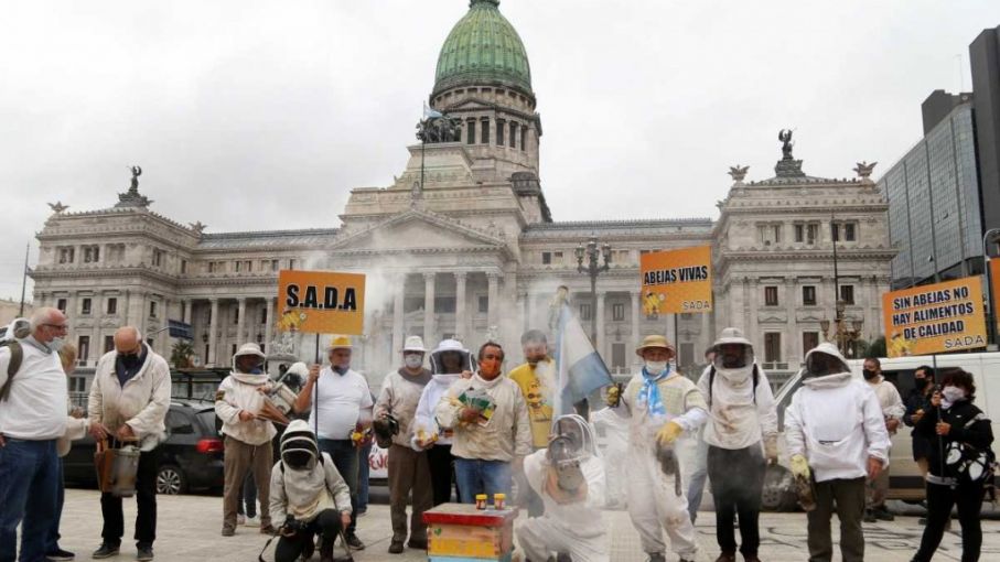 Apicultores regalaron miel en marco protesta por modelo agroindustrial  basado en monocuiltivo - Agritotal