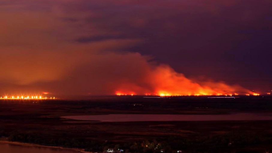 son un desastre ecológico ...