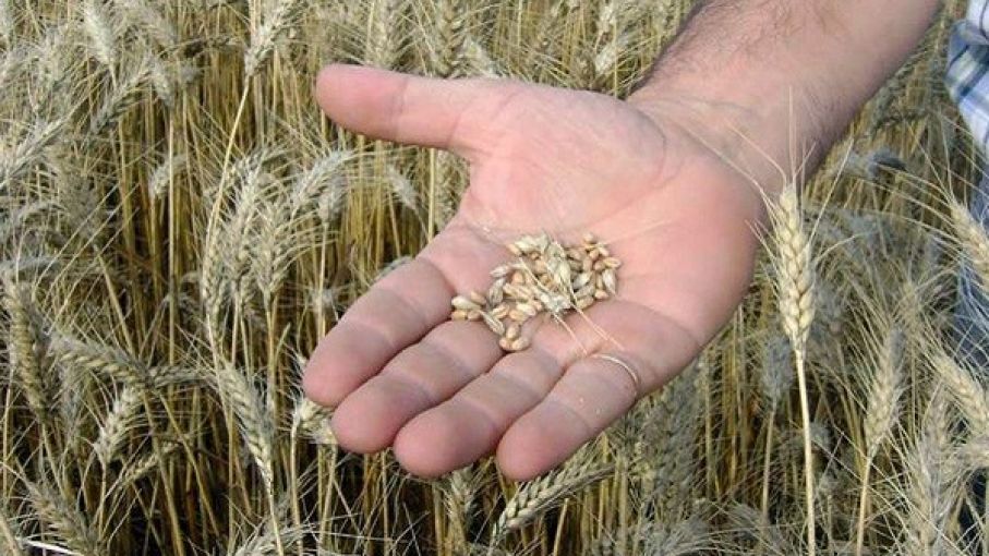 6384fbaa45ee1_907_510!