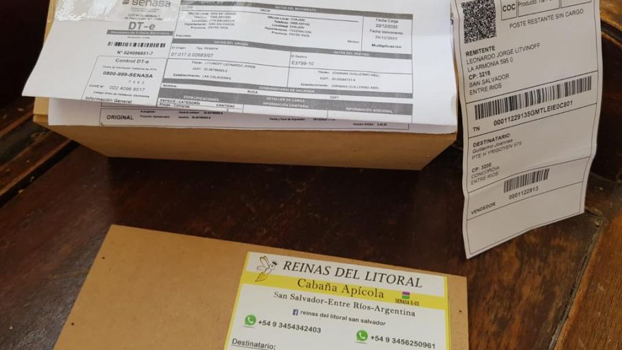 Convenio con el Correo Argentino para traslado de abejas reina desde cabañas habilitadas