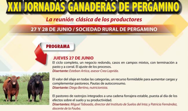 Jorgana13b