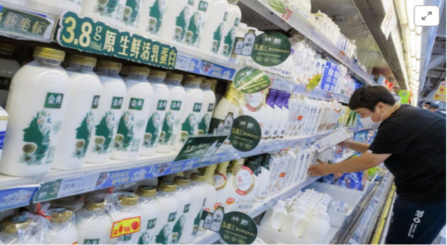 Proveedores, fabricantes, fábrica de cacerolas de leche pequeña de China -  Descuento al por mayor - YUEZHIWAN