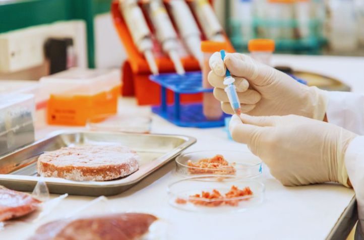 Desarrollan una metodología molecular para identificar la composición de los productos a base de carne