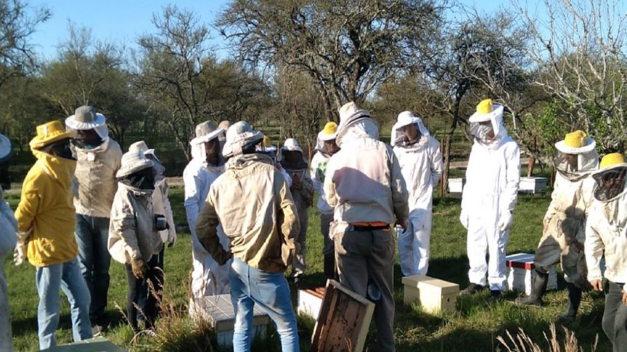 Entre Ríos adhirió al programa Fortalecimiento Productivo para la Cadena Apícola