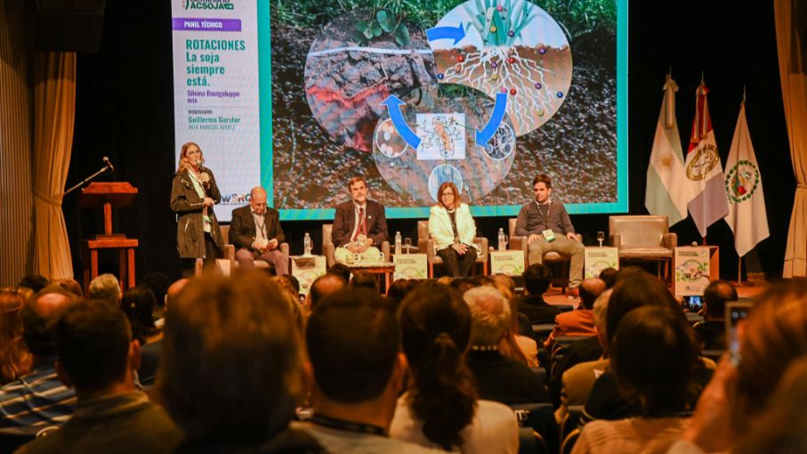 La soja siempre está: novedades en semillas, fertilización y rotación