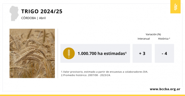 Córdoba: por las lluvias de abril aumenta la intención de siembra de trigo y garbanzo