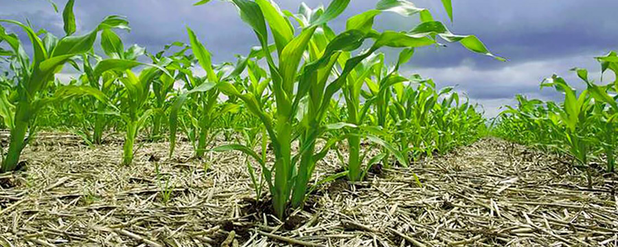 El sistema productivo argentino, ejemplo de calidad y eficiencia