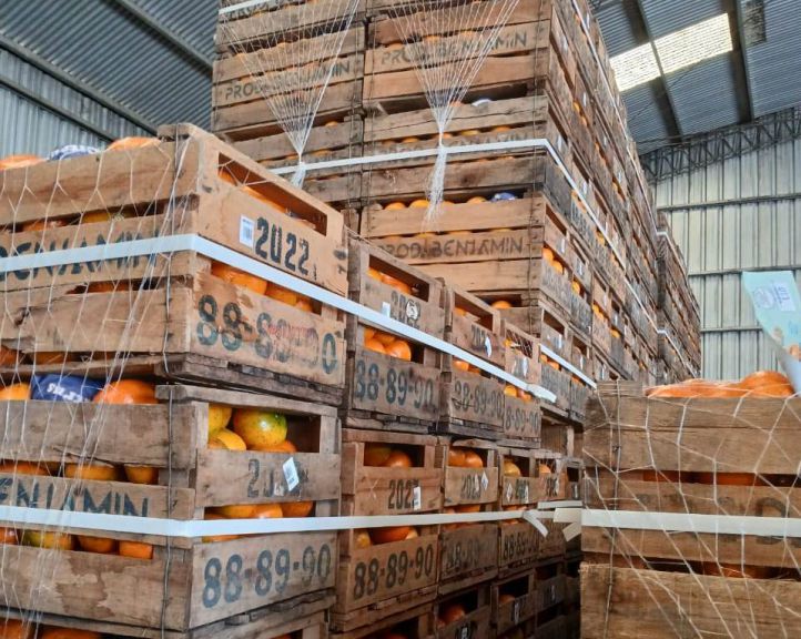 Se fiscalizaron establecimientos de empaque de cítricos y arándanos