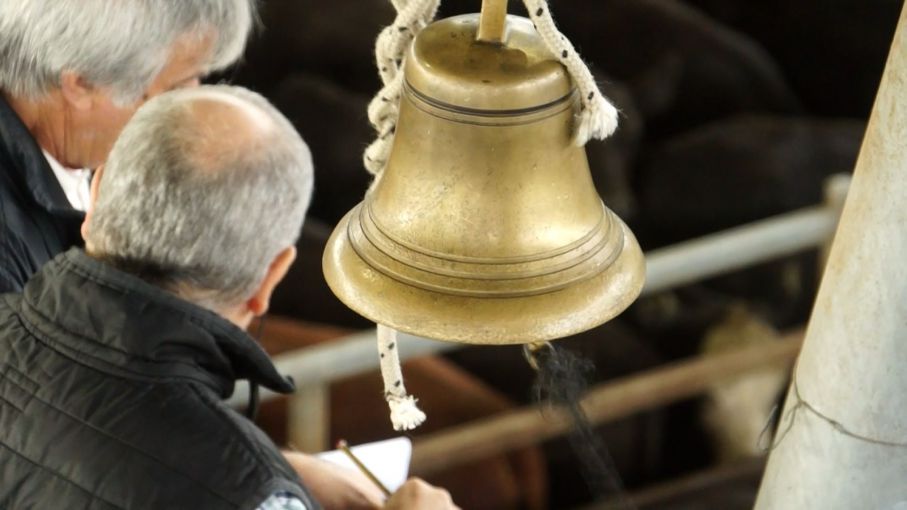 Buena actividad y precios firmes para los livianos en la última jornada de la semana en Cañuelas