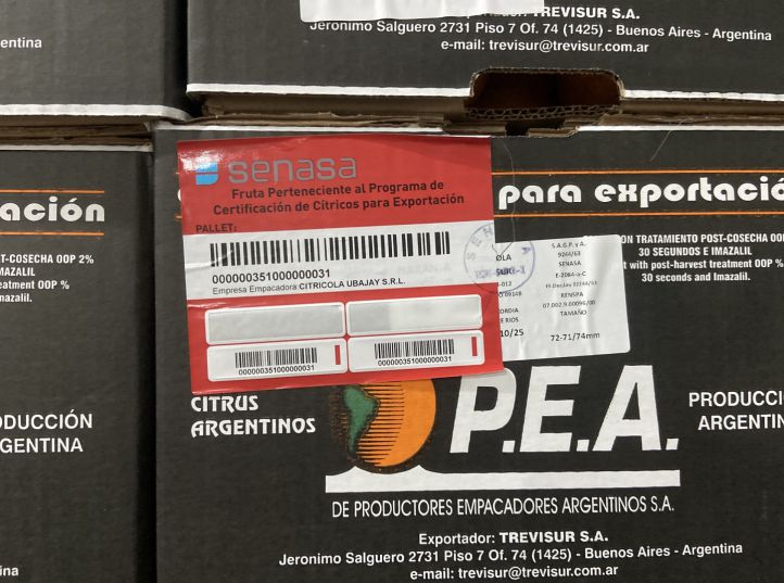 Entre Ríos abre un nuevo destino premium: primer embarque de naranjas frescas certificadas hacia Ecuador