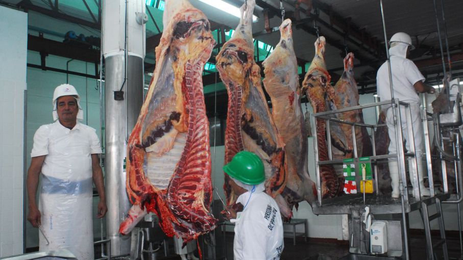 Los dos frigoríficos con mayor faena del país - Agritotal