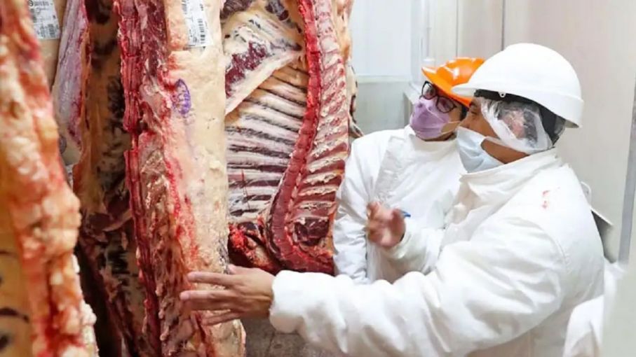 China refuerza el respaldo a su ganadería y ajusta el comercio de carne vacuna