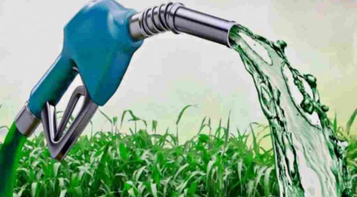 Impulsan subir el corte de biocombustibles y reavivan la disputa por la matriz energ&eacute;tica