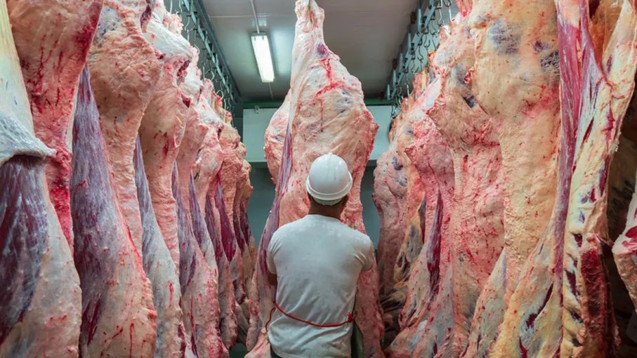 La Unión Europea fija un umbral del 5% para activar alertas por importaciones de carne del Mercosur