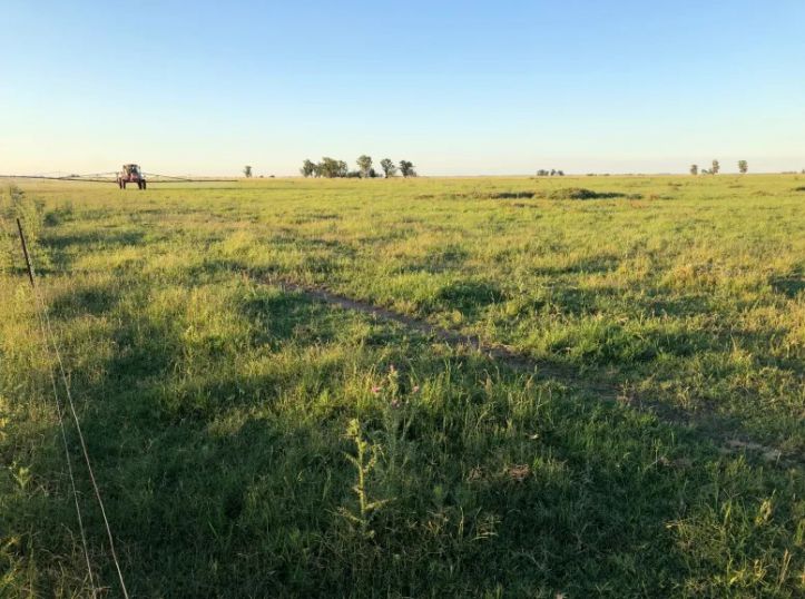 El agro incorpora biodiversidad: el INTA impulsa una red nacional para transformar &aacute;reas marginales en recursos productivos