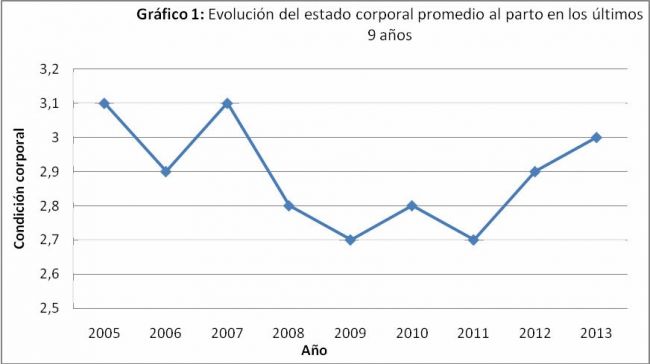 Grafico
