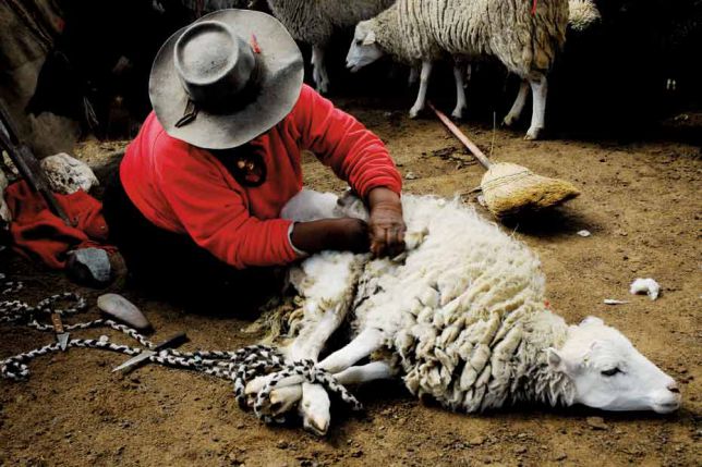 Fotoshock: grandes imágenes del Norte Argentino - Agritotal